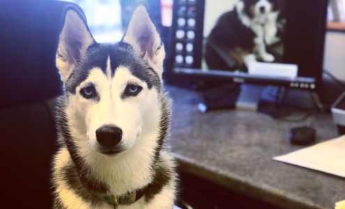 Animal Medical Center of Orange