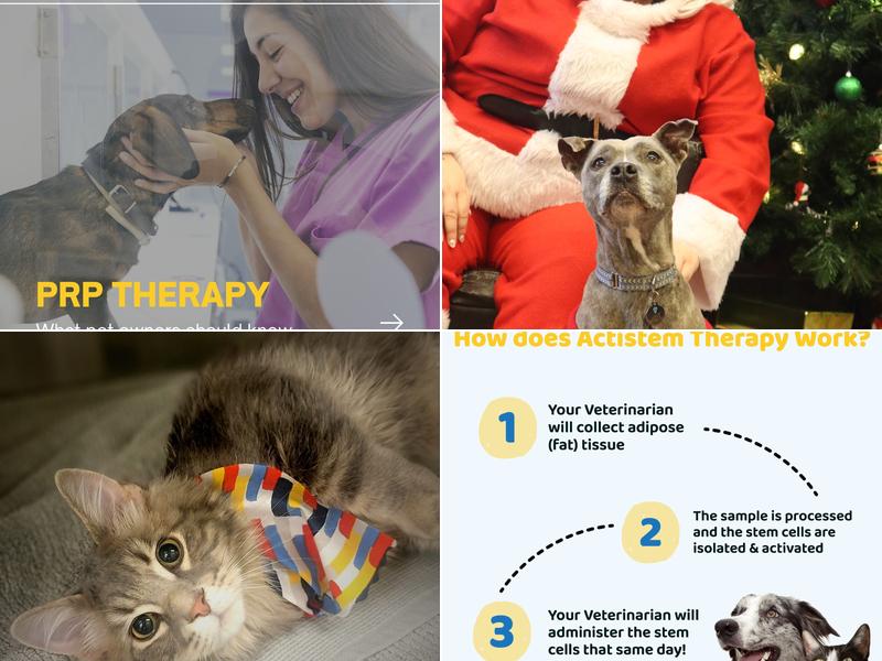 Village Veterinary Clinic: Bass Mili DVM