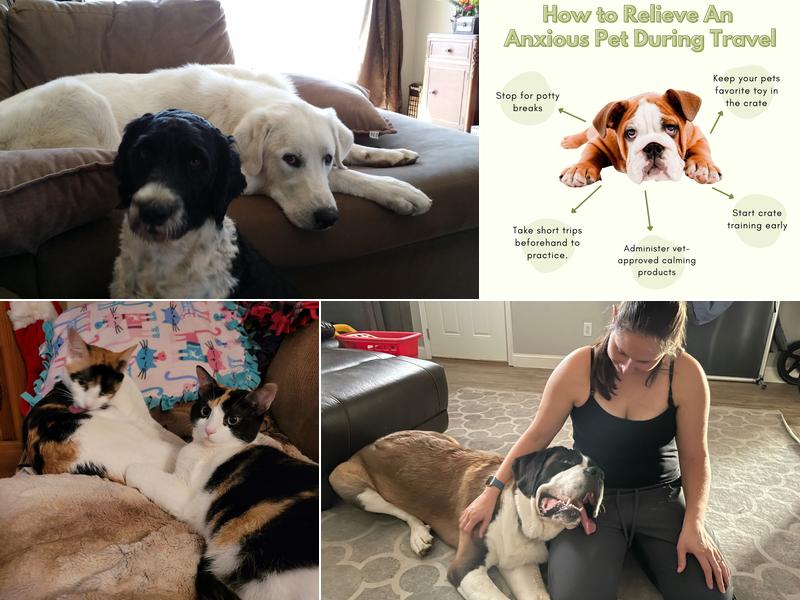 Country Oaks Veterinary Hospital