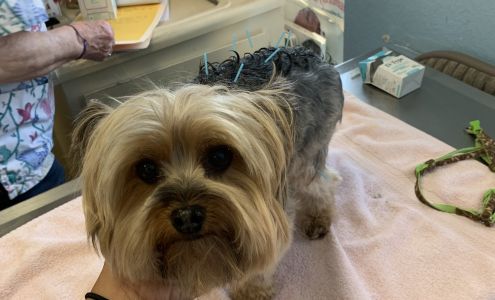 South San Diego Veterinary Hospital