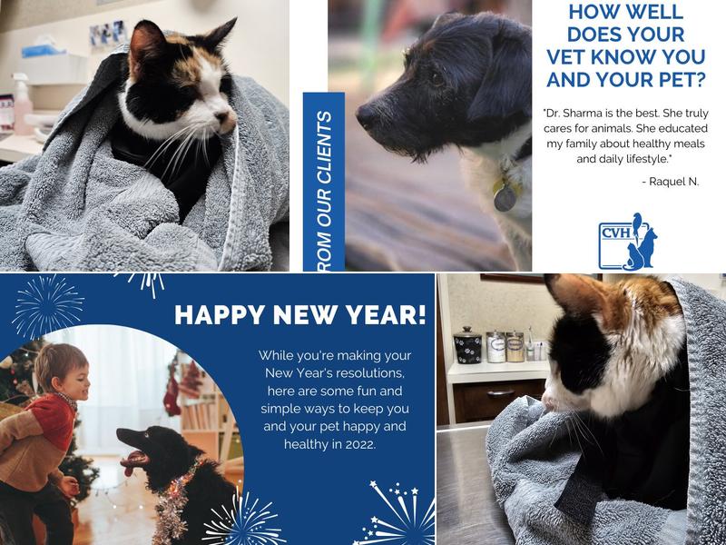 Central Veterinary Hospital