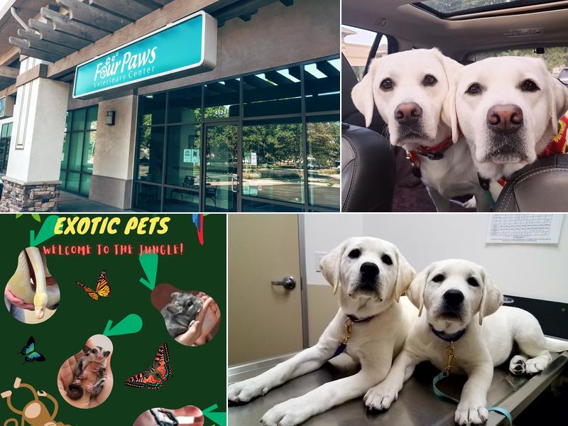 Four Paws Veterinary Center