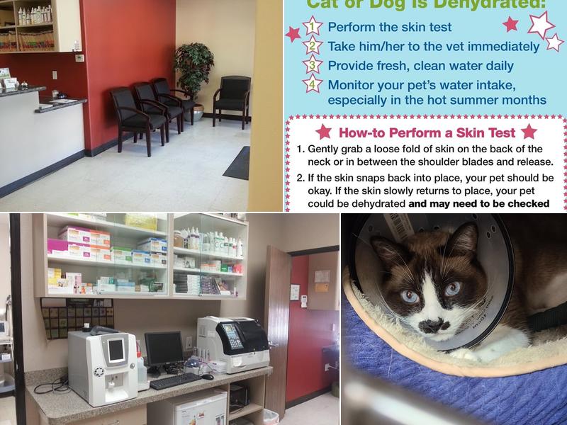 Mission Hills Pet Care Center