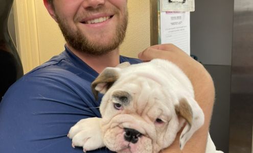 Animal Care Veterinary Clinic: Holt S DVM