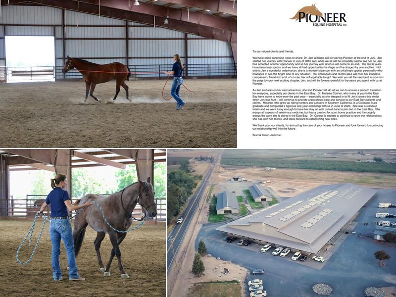 Pioneer Equine Hospital