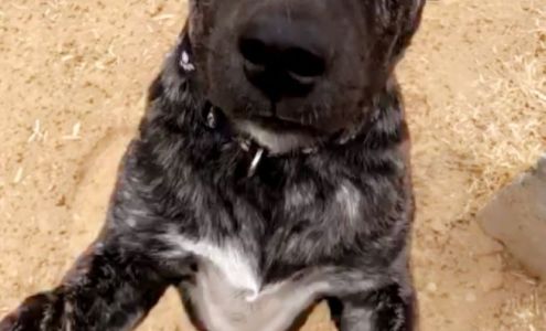 Dr. Lowe Thousand Oaks