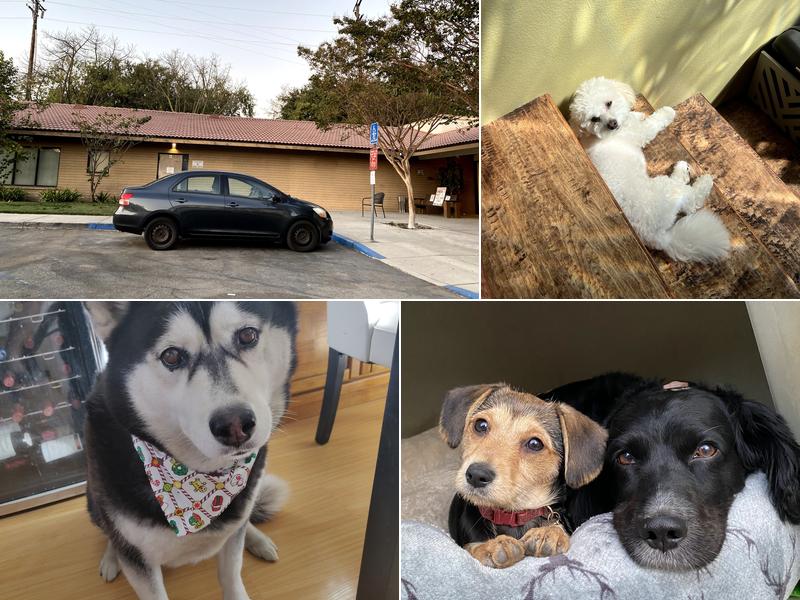 Inland Valley Veterinary Specialists