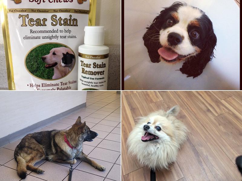 Eagle Glen Veterinary Clinic