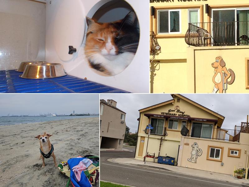 Sun Surf Veterinary Hospital