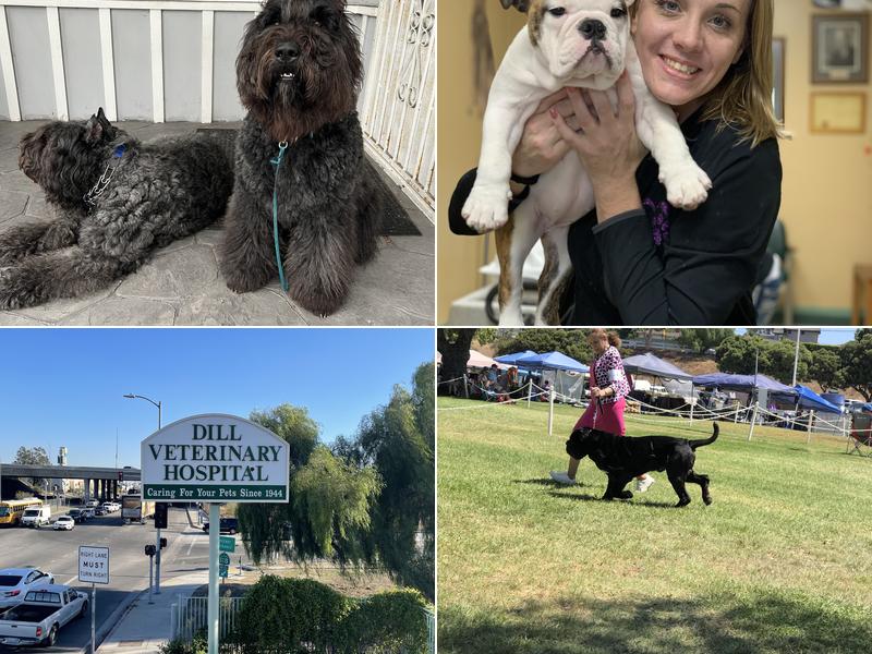 Dill Veterinary Hospital & Reproductive Services