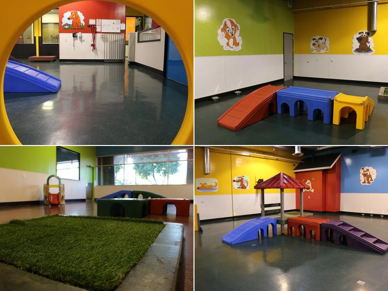 Warner Center Pet Clinic: Jackson Debra DVM