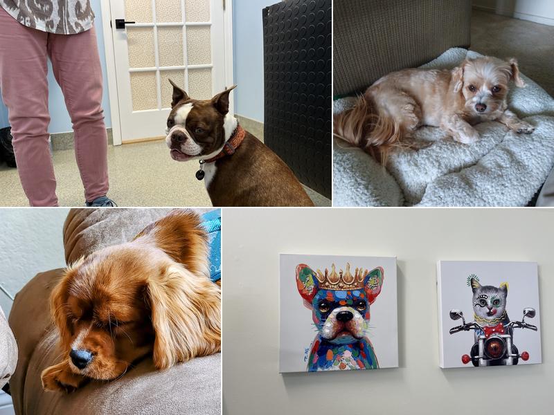 La Plaza Veterinary Clinic