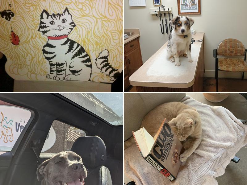 Alvarado Veterinary Hospital