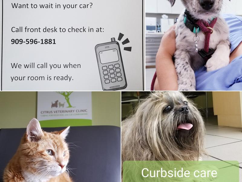 Citrus Veterinary Clinic: Cheng Catherine DVM