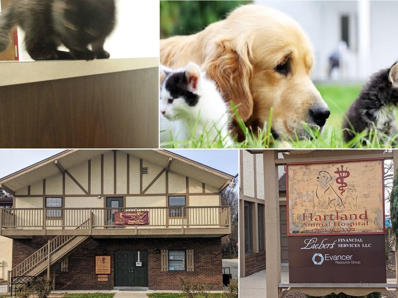 Hartland Animal Hospital