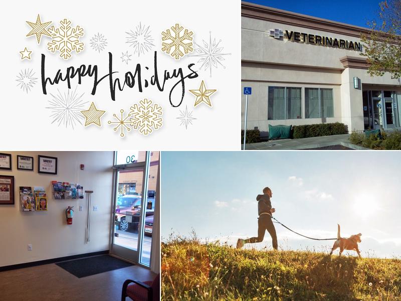 Kittel Family Veterinary Practice Inc.