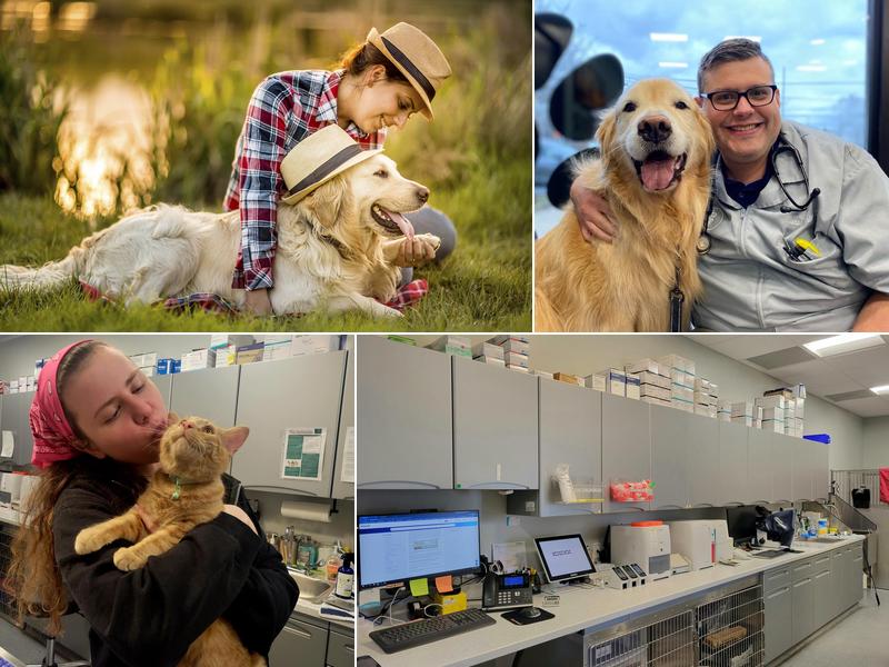 South Shore Animal Hospital