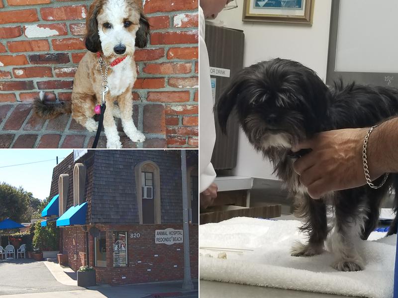 Christina Hutson DVM