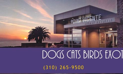 Point Vicente Animal Hospital Rancho Palos Verdes