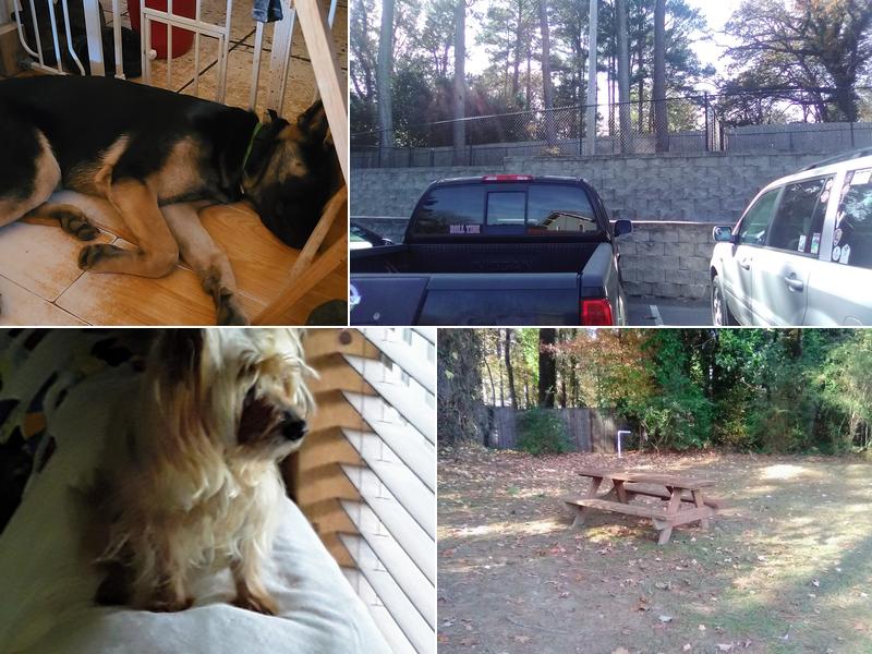 Compton's Veterinary Hospital