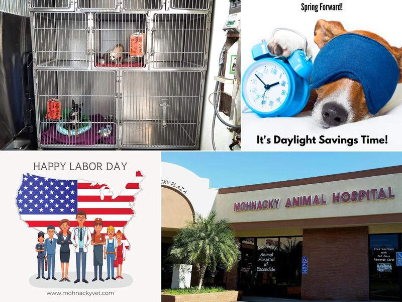 Mohnacky Animal Hospitals of Escondido