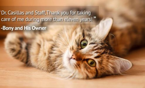 Casillas Veterinary Hospitals