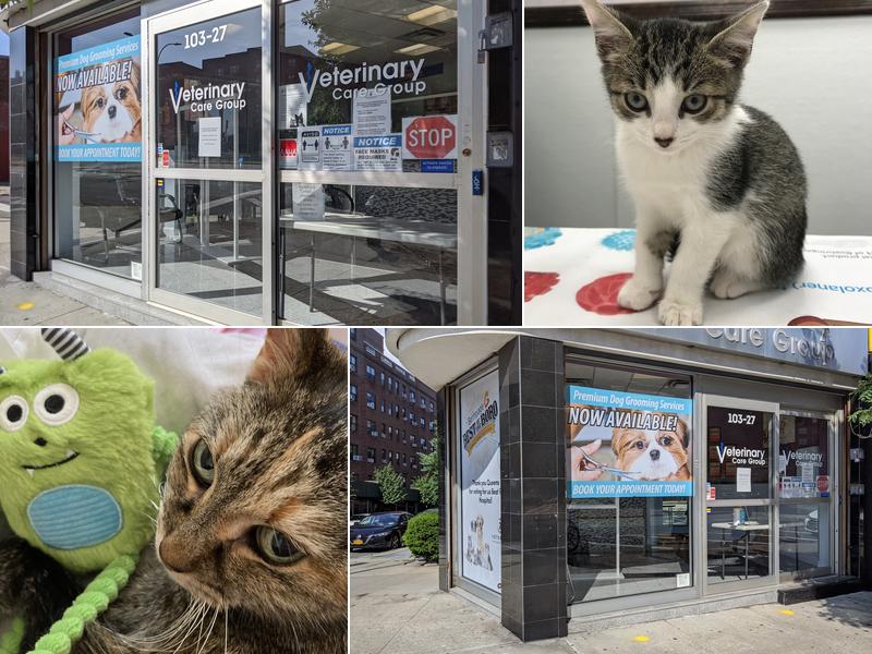 Veterinary Care Group - Forest Hills