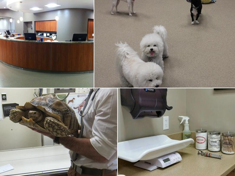 Conejo Valley Veterinary Hospital
