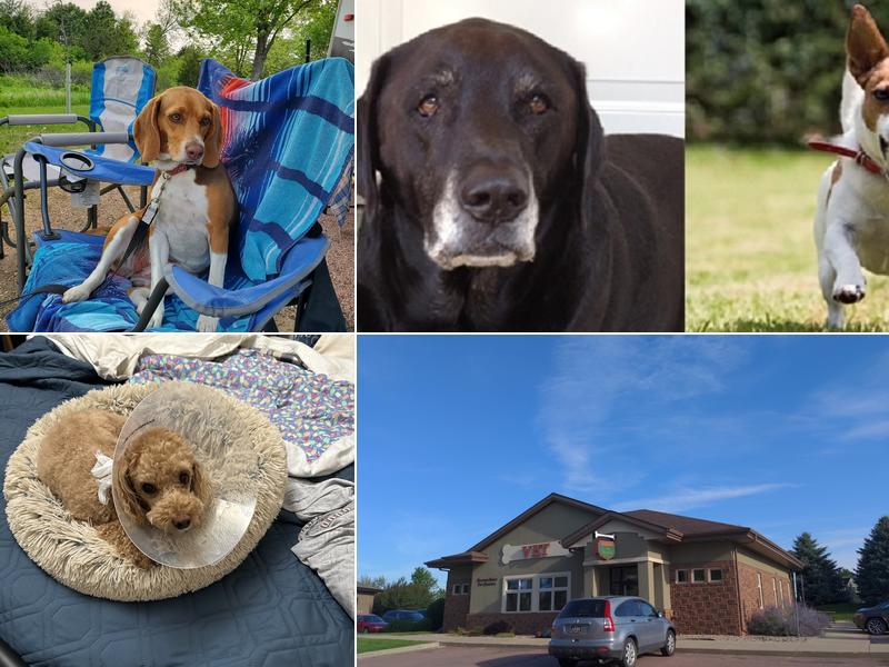 Heather Ridge Pet Hospital