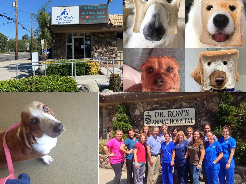 Dr. Ron's Animal Hospital & Emergency Veterinarian