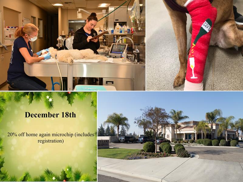 Tulare Veterinary Hospital