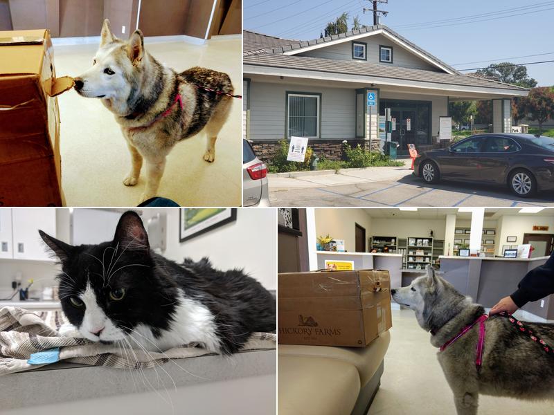 Park Animal Hospital