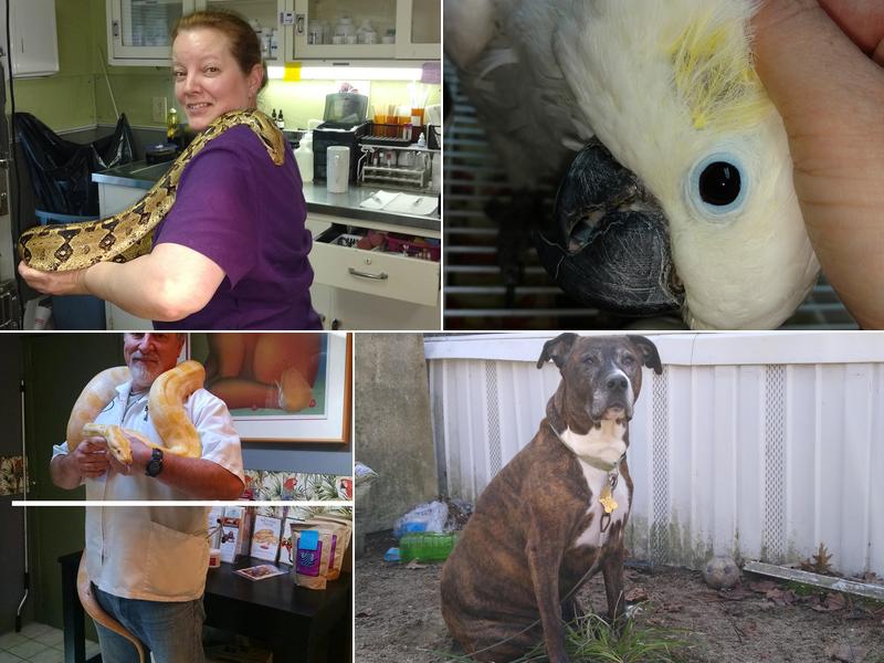 Marlborough Veterinary Clinic