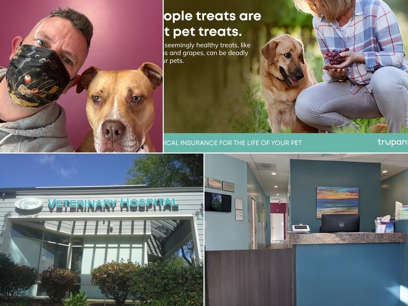 Oasis Veterinary Hospital