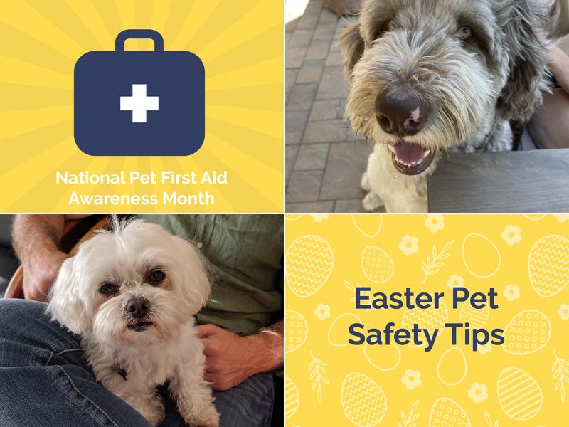 Arbor View Veterinary Clinic