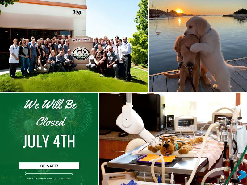 Rocklin Ranch Veterinary Hospital