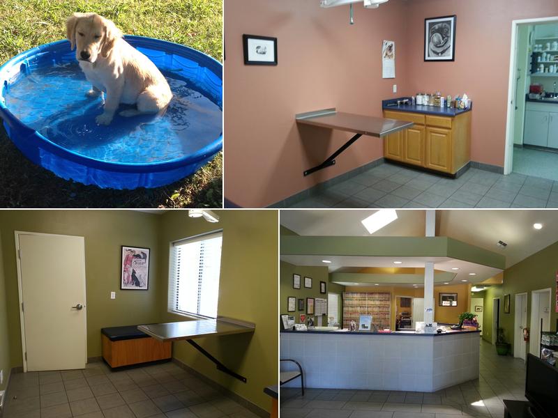 Douglas Boulevard Veterinary Clinic: Chandler Kelly DVM