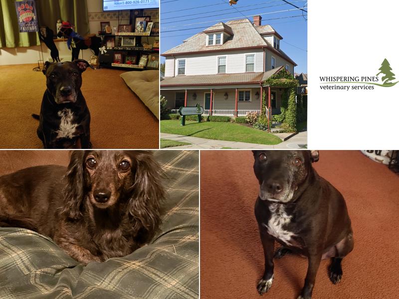 Whispering Pines Veterinary Services - Grove City