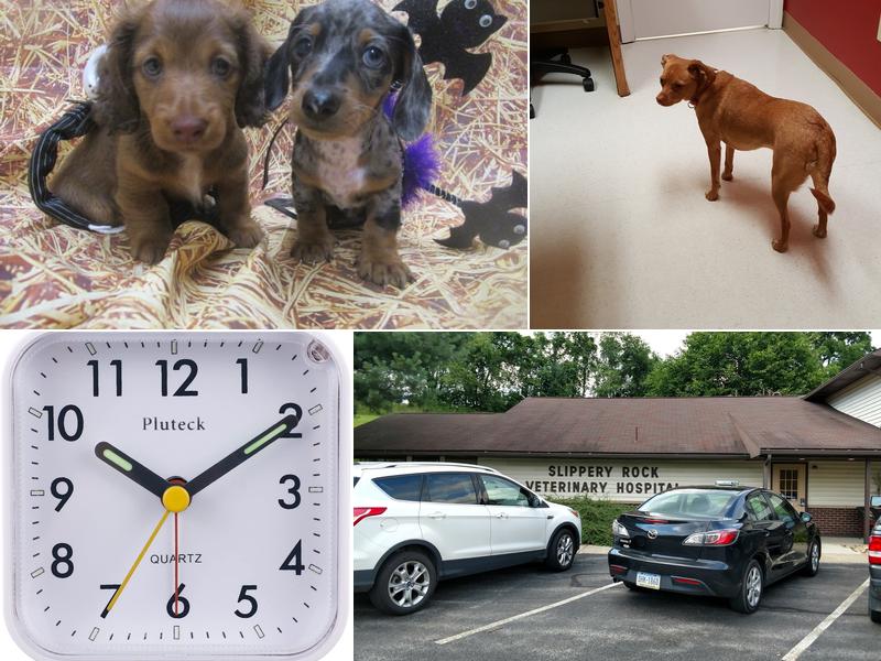 Slippery Rock Veterinary Hospital