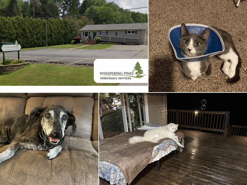 Whispering Pines Veterinary Services - Greenville