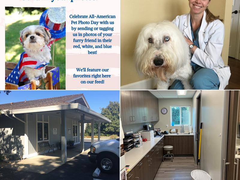 Granite Bay Veterinary Clinic