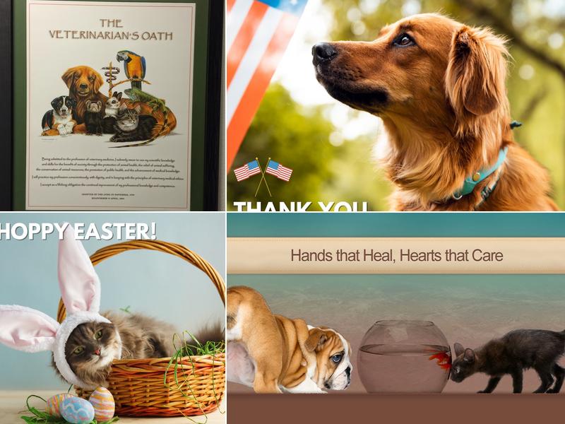 Veterinary Healing Center of El Dorado Hills