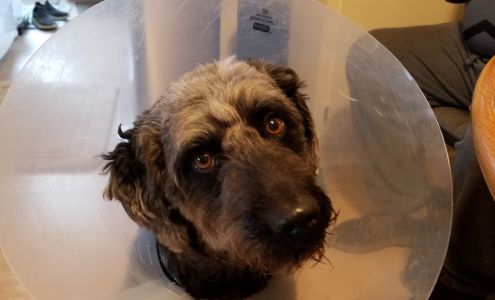 Inwood Veterinary Clinic Inwood