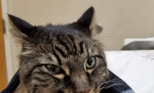 VCA Animal Care Clinic San Pablo