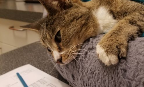 El Sobrante Veterinary Hospital