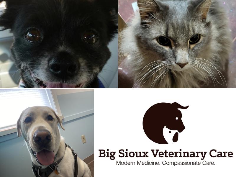 Big Sioux Veterinary Care