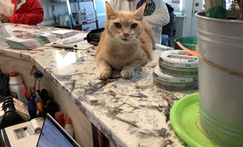 Derby City’s Crossroads Animal Hospital