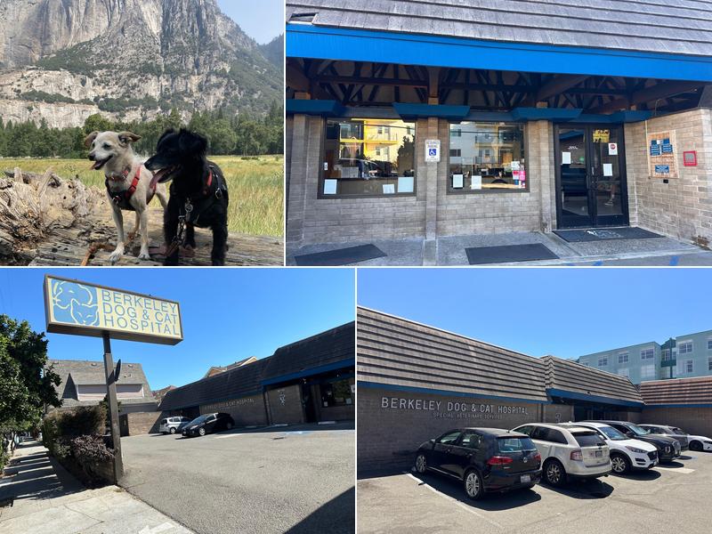 Berkeley Dog & Cat Hospital