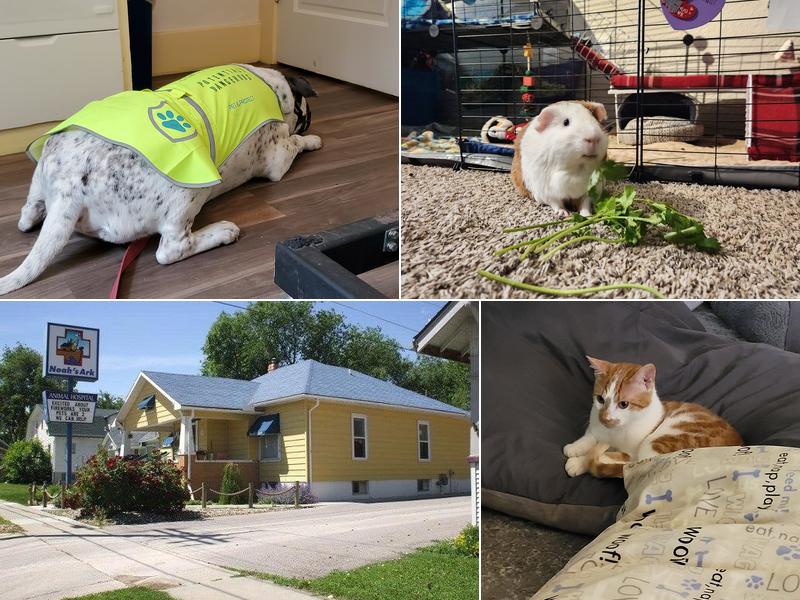 Noah's Ark Animal Hospital, LLC