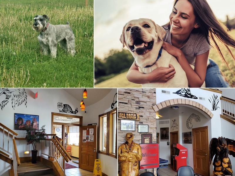 All Creatures Veterinary Hospital